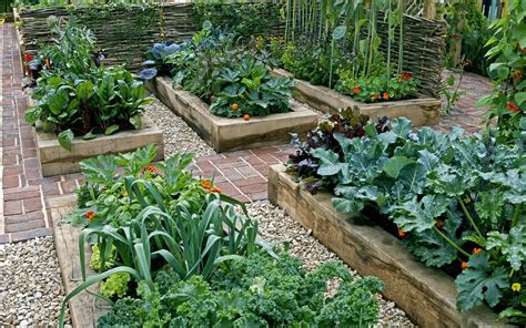  Creative Gardening: A Guide to Designing Your Own Edible Paradise - Une Symphonie de Saveurs et d'Esthétisme dans Votre Jardin